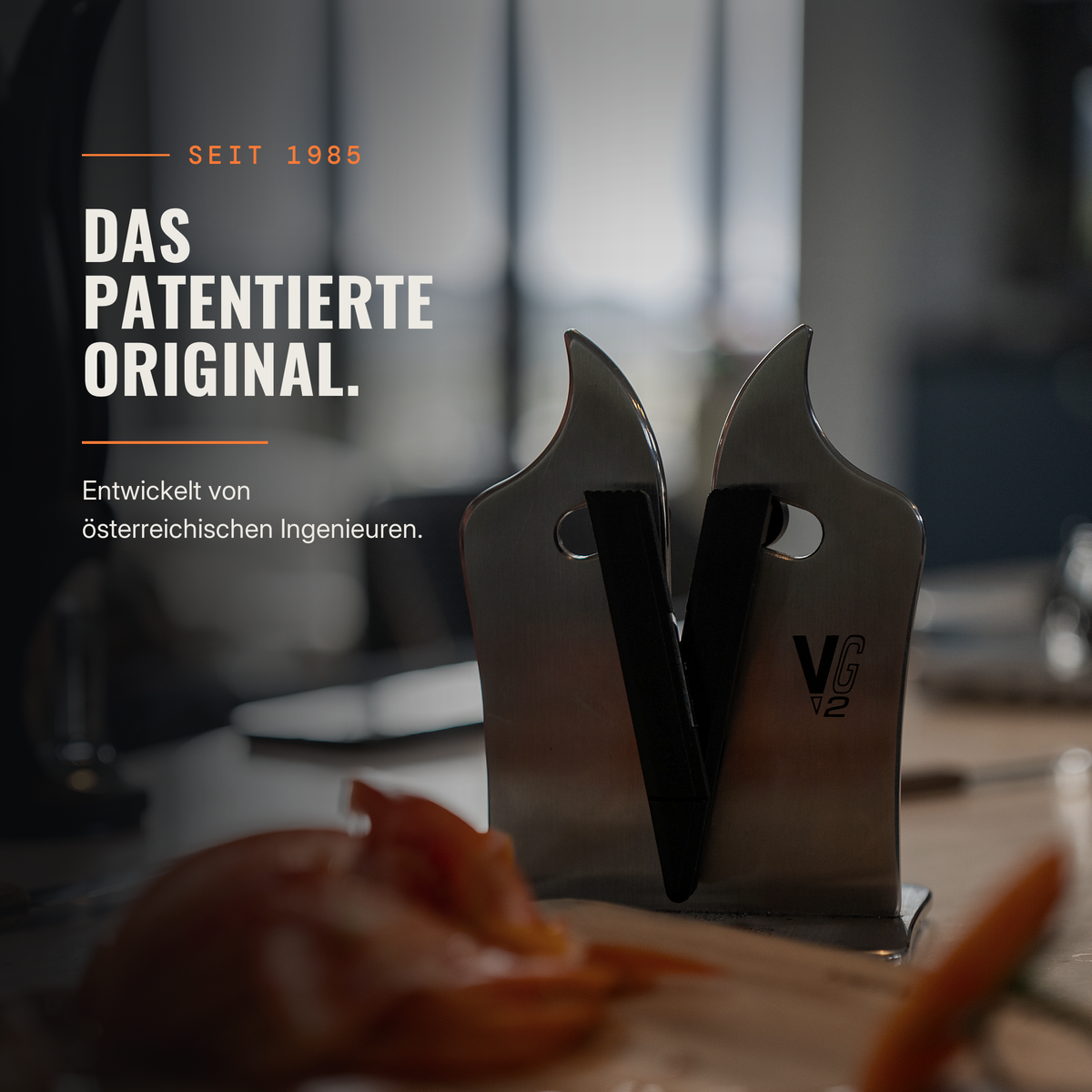 VG2 Professional
